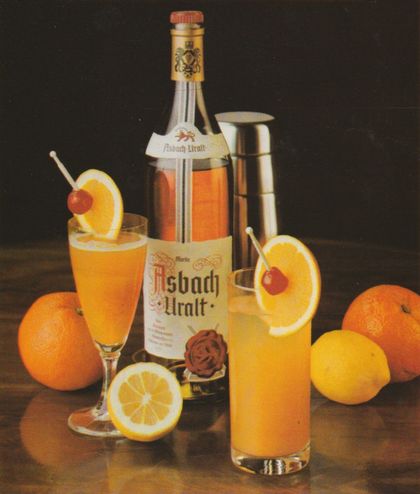 Eine Flasche Asbach Uralt steht neben einem Cocktail-Shaker und zwei gefüllten Gläsern mit orangefarbenen Drinks, die jeweils mit einer Orangenscheibe und Cocktailkirsche garniert sind. Im Hintergrund liegen frische Orangen und Zitronen auf dunklem Untergrund.