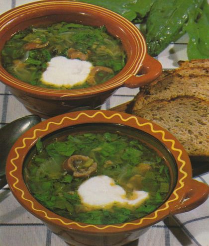 Zwei orange-braune Suppenschalen mit grüner Kräutersuppe, garniert mit einem Klecks Sauerrahm und Pilzen, dazu dunkles Vollkornbrot. Im Hintergrund stehen grüne Paprikaschoten auf einem karierten Geschirrtuch.