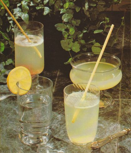 Vier verschiedene Gläser mit Gin–Cocktails auf einer Steinplatte, dekoriert mit Zitronenscheiben und Trinkhalmen. Im Hintergrund ranken sich Efeu–Zweige an einer Holzwand. Die Getränke sind transparent bis leicht trüb.