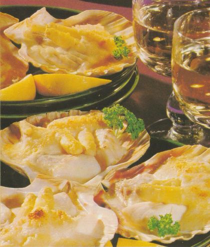 Gefüllte Muschelschalen mit Fisch–Spargel–Ragout in cremiger Sauce, garniert mit Petersilie, serviert auf dunklen Tellern. Dazu Zitronenspalten und Weißweingläser im Hintergrund.