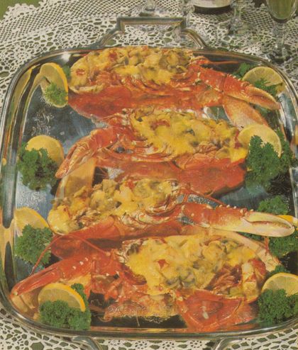 Vier halbierte Hummer auf einer ovalen Servierplatte, gefüllt mit einer Mischung aus Hummerfleisch, Champignons und Möhrenscheiben, überbacken mit einer Curry– oder Safransauce. Die Platte ist dekoriert mit Zitronenscheiben und Petersilie. Im Hintergrund eine Spitzendecke.